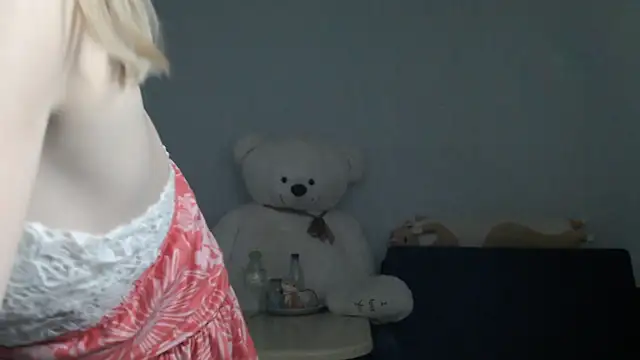 night_is_dark webcam