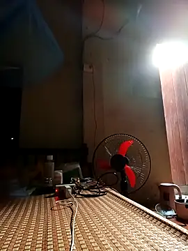 Lyly22x webcam