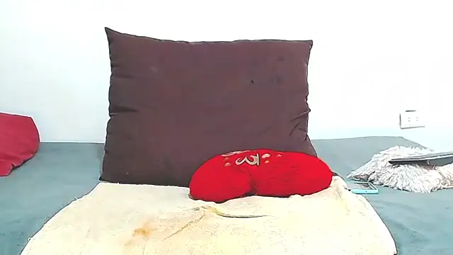AnySugar webcam