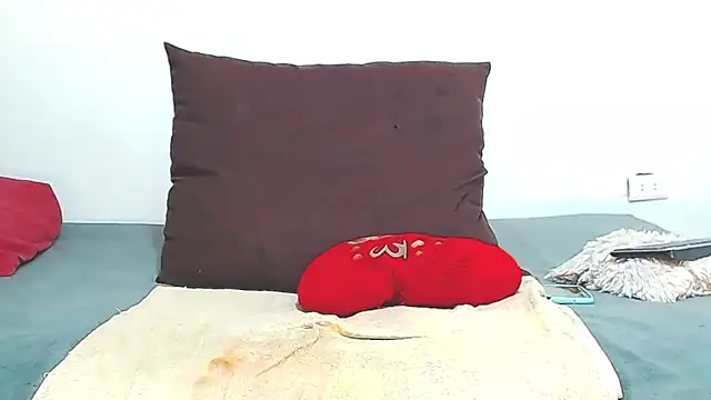 AnySugar webcam
