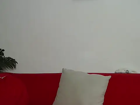 Whimsicalwillow webcam