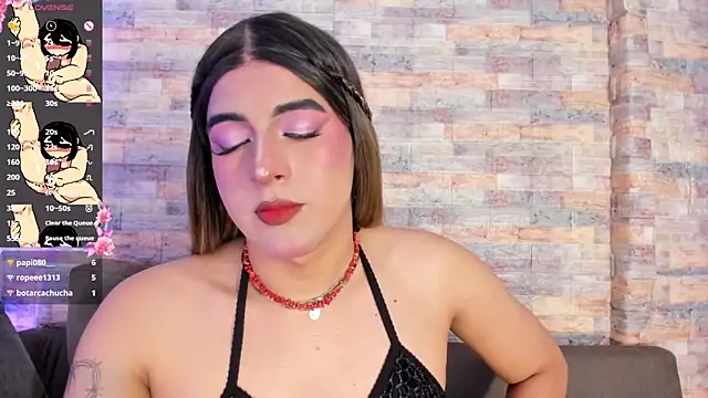 camii_raux webcam