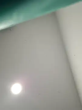 IrisBound webcam