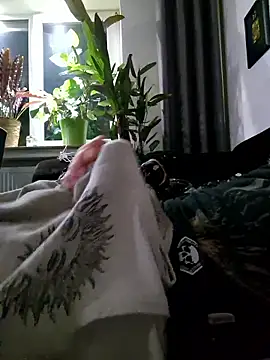 Kingsscepter webcam