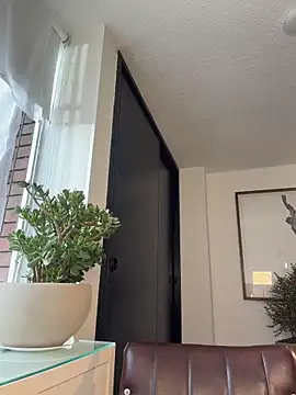 AmelieLaurent_ webcam