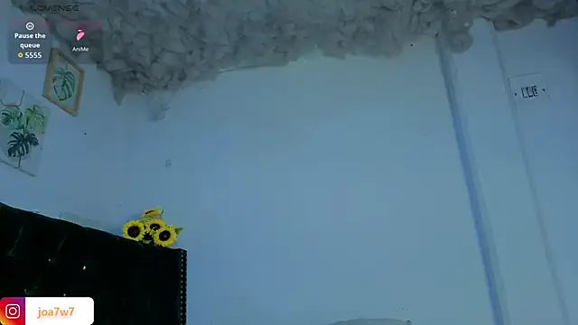 Levii_Ackermann webcam