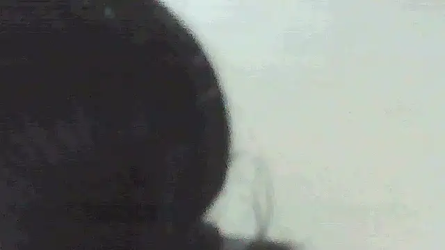 Fariana01 webcam