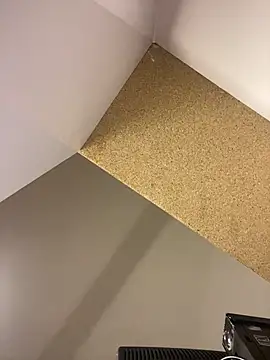 Valu_euphoria webcam