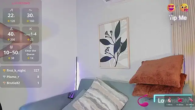 KassMonroe webcam