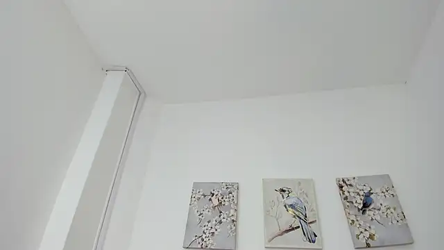 skysaenz webcam