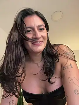 ari_artis webcam