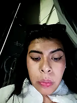 SOFIA-11_ webcam