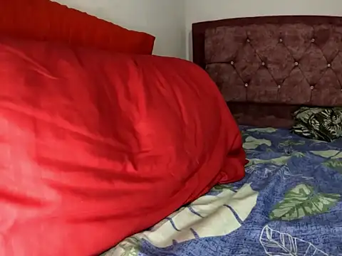babysander webcam