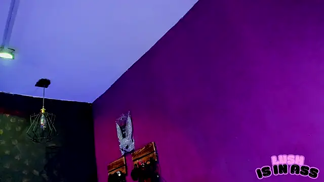 Alexa_Slave webcam