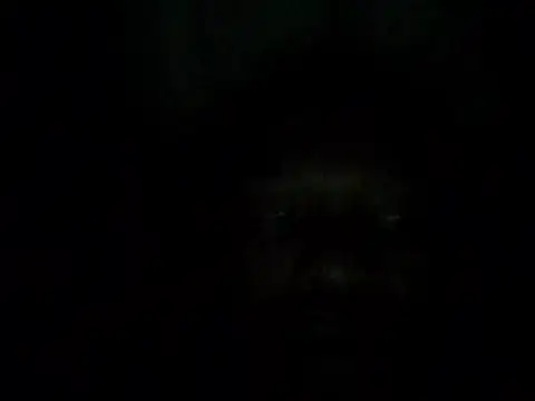 NonhumanButtery webcam