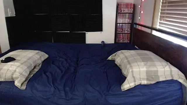 Ivyintheparker webcam
