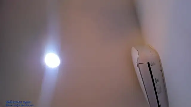 Zyrelia_Vael webcam