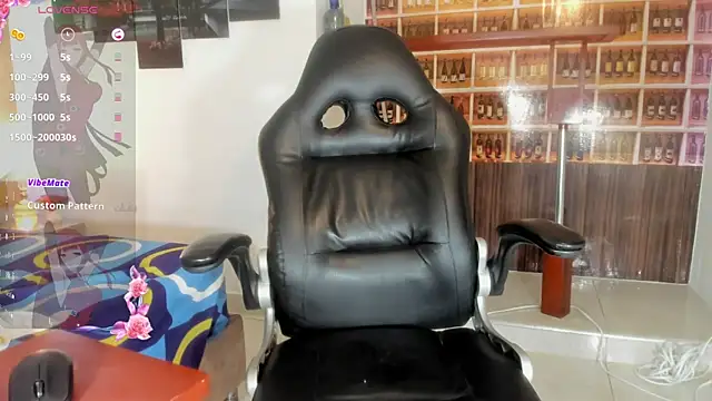 _Shirley_ webcam
