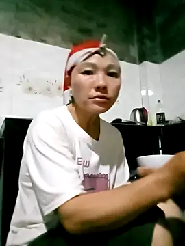 elen8800 webcam