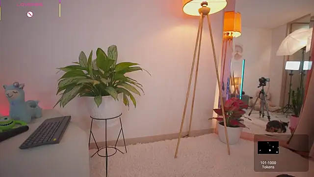 roxie_gates_ webcam