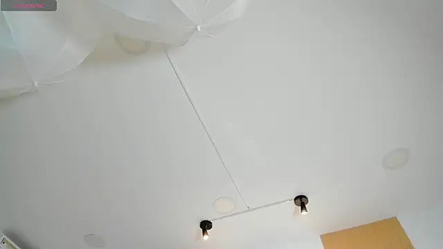 Taylor_Royal_ webcam