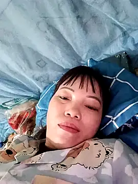 Sana-vn webcam
