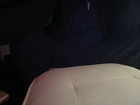 translove webcam
