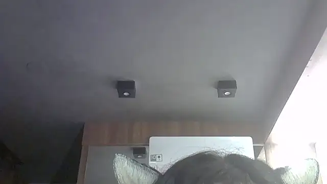 SkinnyKitten webcam
