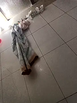Sana-vn webcam