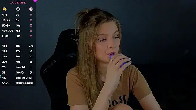 Saillise webcam