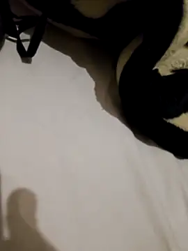Virgin_ass2019 webcam