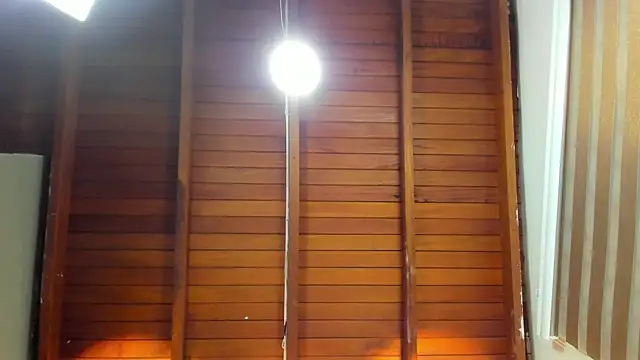Shammy_rosse webcam