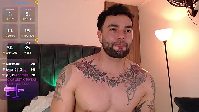 Diegoarctic webcam
