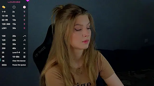 Saillise webcam