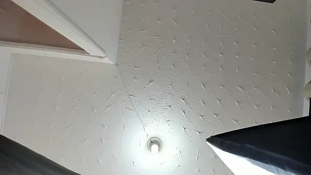 Alison_Chan_ webcam