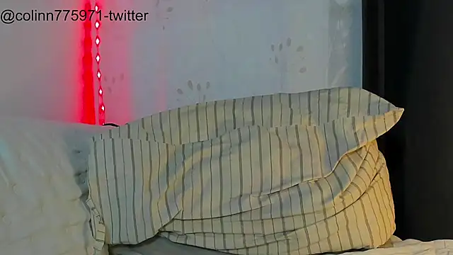 TalkingHead_0_ webcam