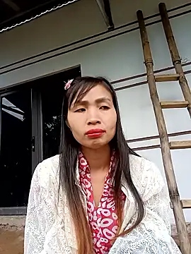 xiaogoal webcam