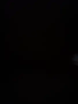 Parapoznann webcam