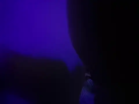 chronic_vibez webcam