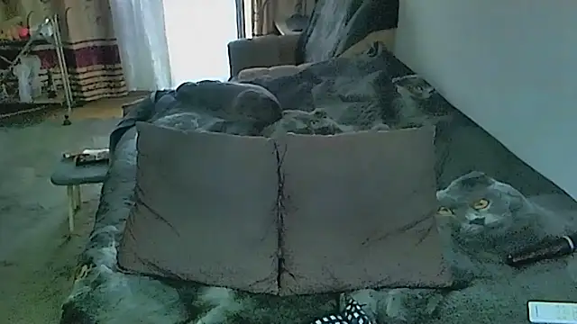 sex2 webcam