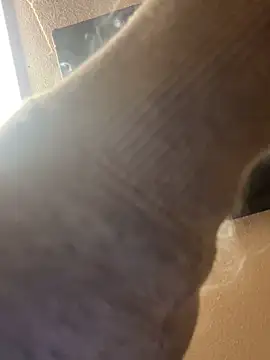 pussyeater_- webcam