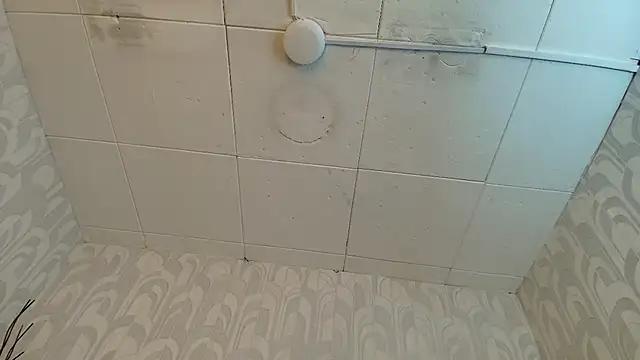 CarolineBrunx webcam