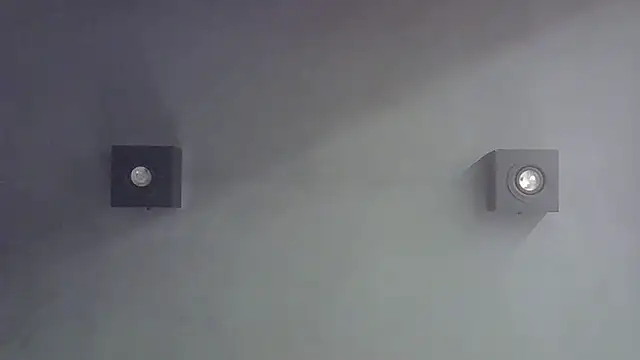 SkinnyKitten webcam