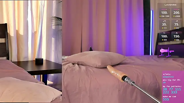 webpetite webcam