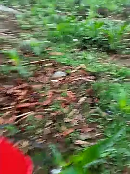 lyly_sexx webcam