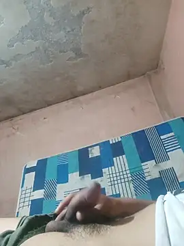 Alcon347 webcam