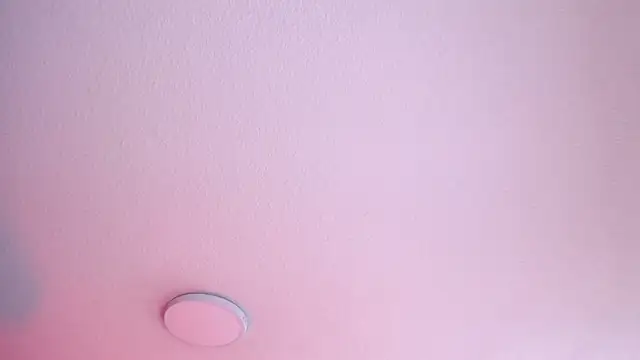 Sweet_cat_t webcam