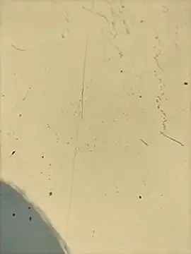 Pitercom webcam