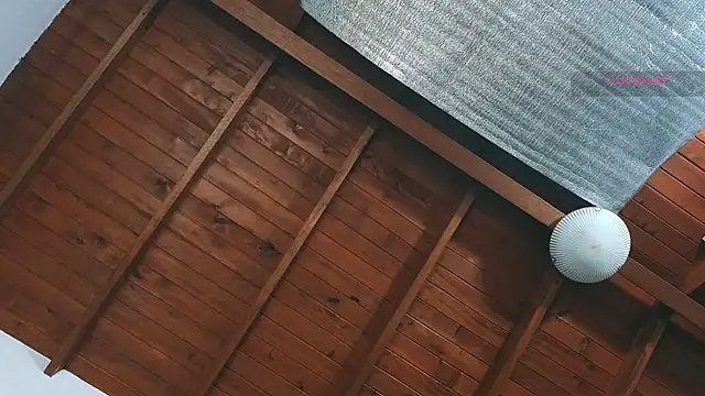SilvaBranko webcam