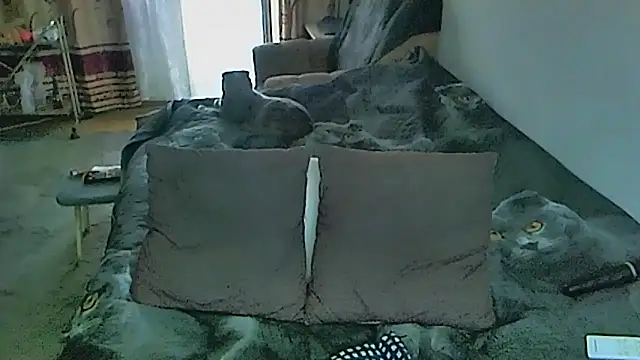 sex2 webcam